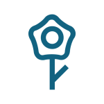 flower-icon-01 flower-icon-01